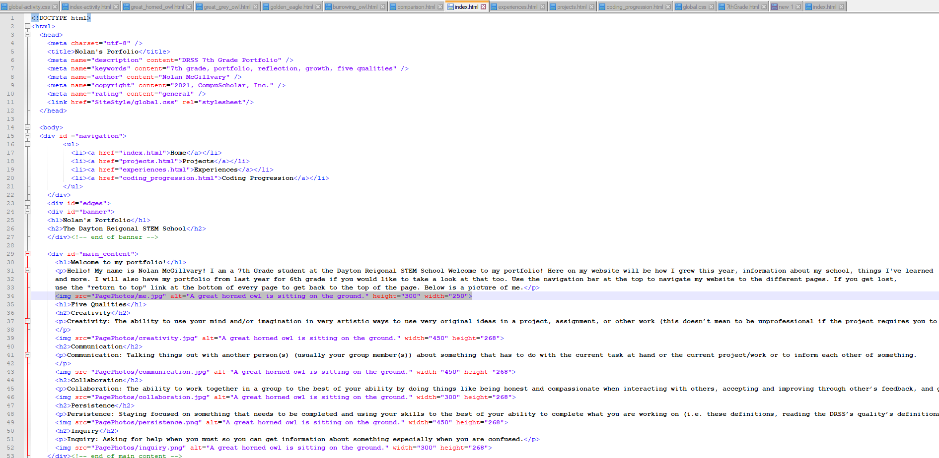 The code used to make this portfolio which, as you can tell from the alternate text I have typed for these images that is being read to you currently, and these images being on the page at all, it is way more complex than just a simple sentence.